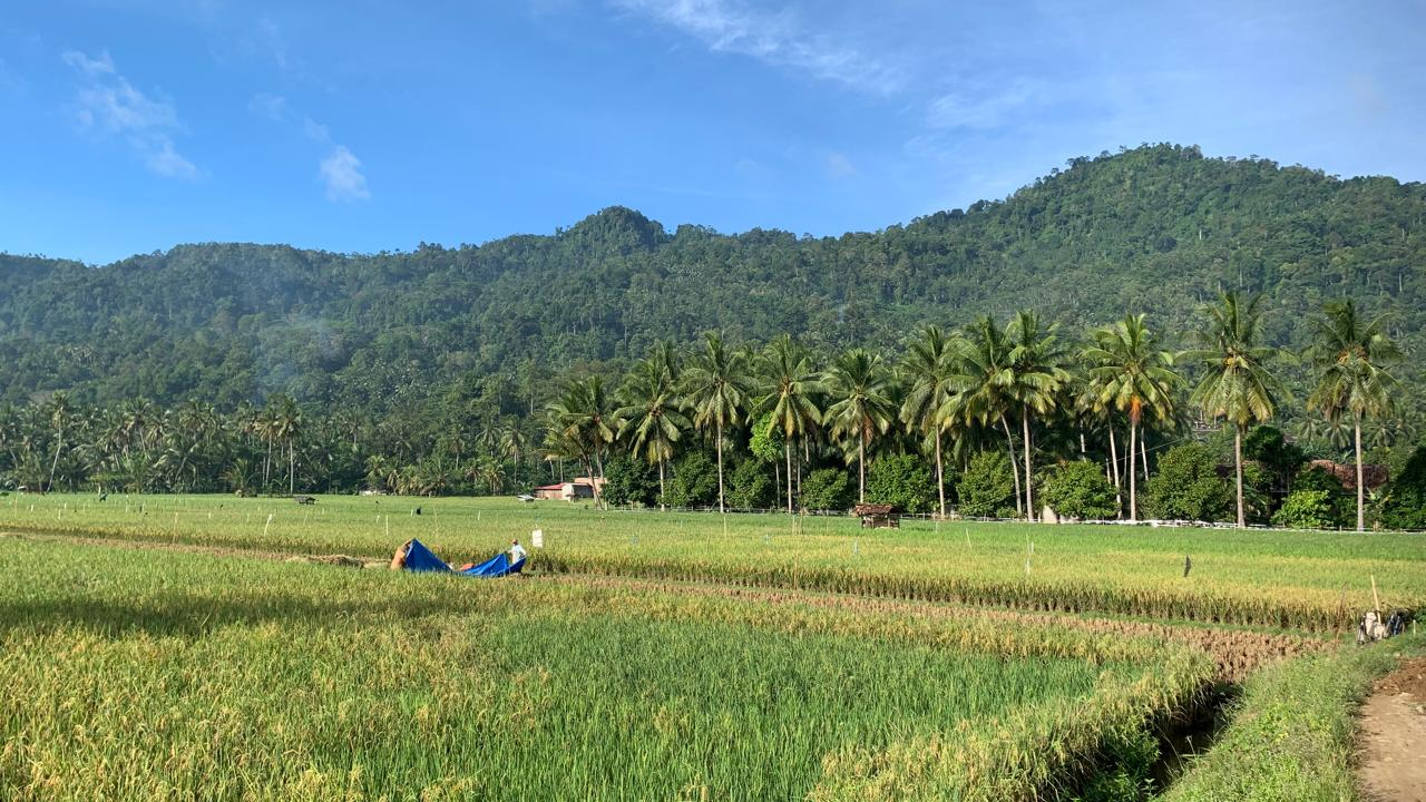 PEGUNUNGAN
