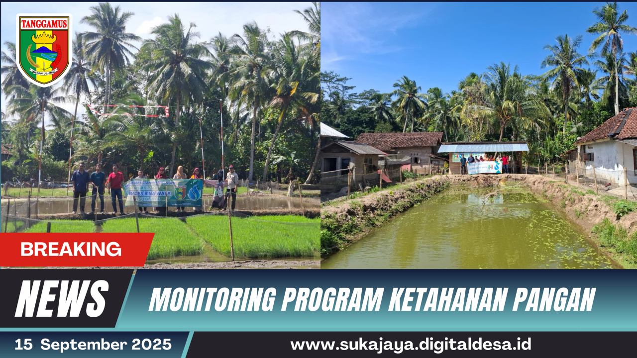 Monitoring Program Ketahanan Pangan di Pekon Sukajaya