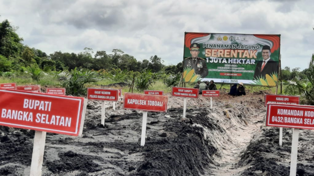 Serentak Satu Juta Hektar