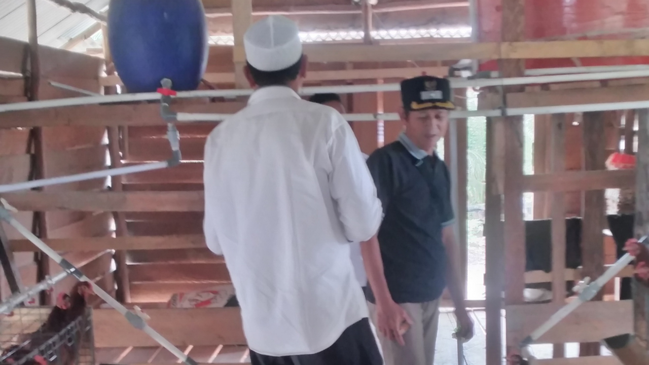 Kunjungan Kerja Pemerintah Desa Gadung ke Peternakan Ayam Petelur di Desa Nangka dalam Rangka Optimalisasi Ketahanan Pangan Tahun 2025