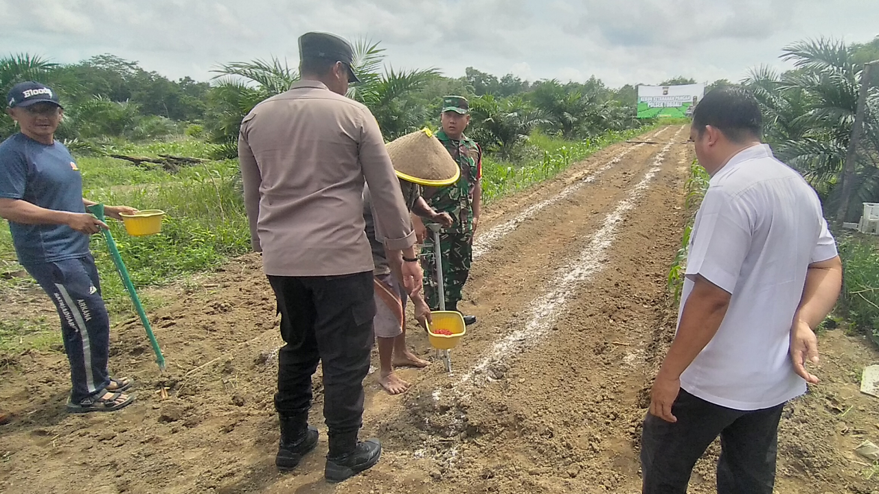 Polsek Toboali Dukung Ketahanan Pangan Nasional melalui Penanaman Serentak di Desa Gadung