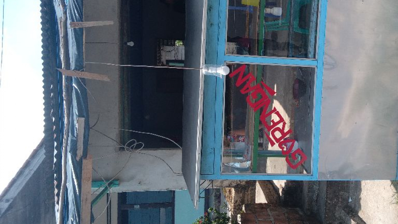 Jualan gorengan Waltini