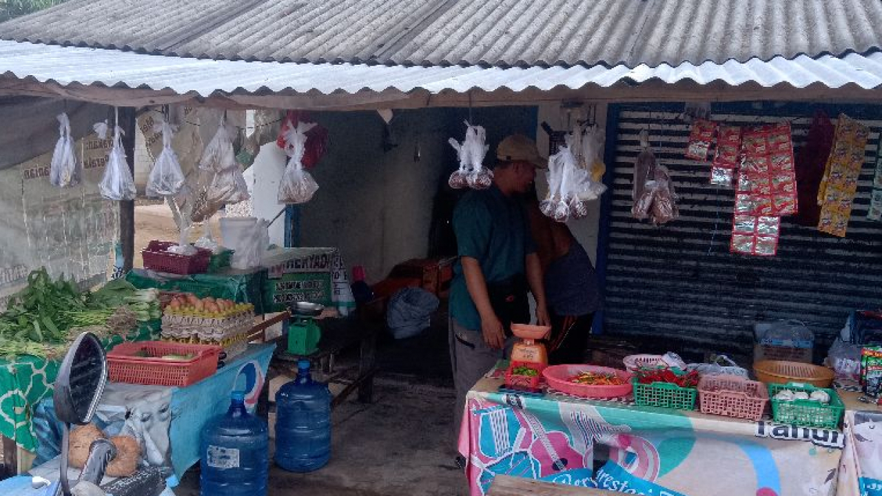 Jualan Sayuran