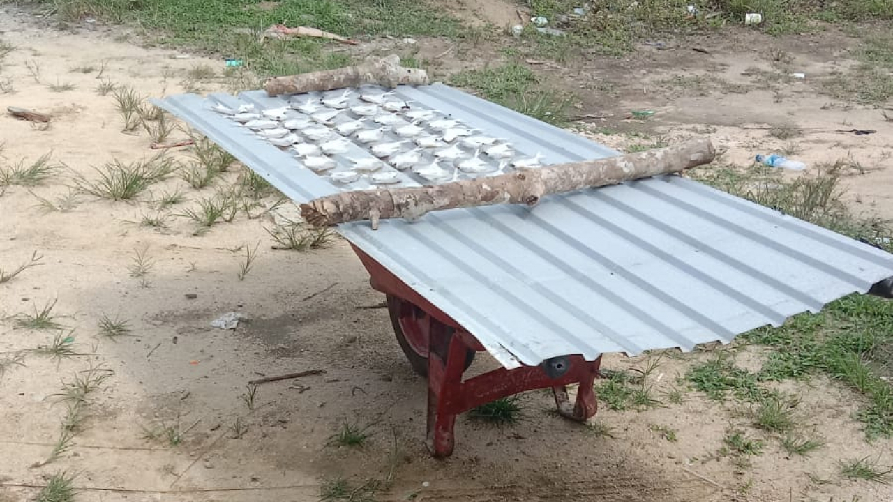 pedagang ikan asin Veibranayah