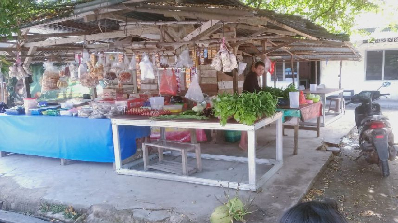 Penjualan Sayuran Paizah