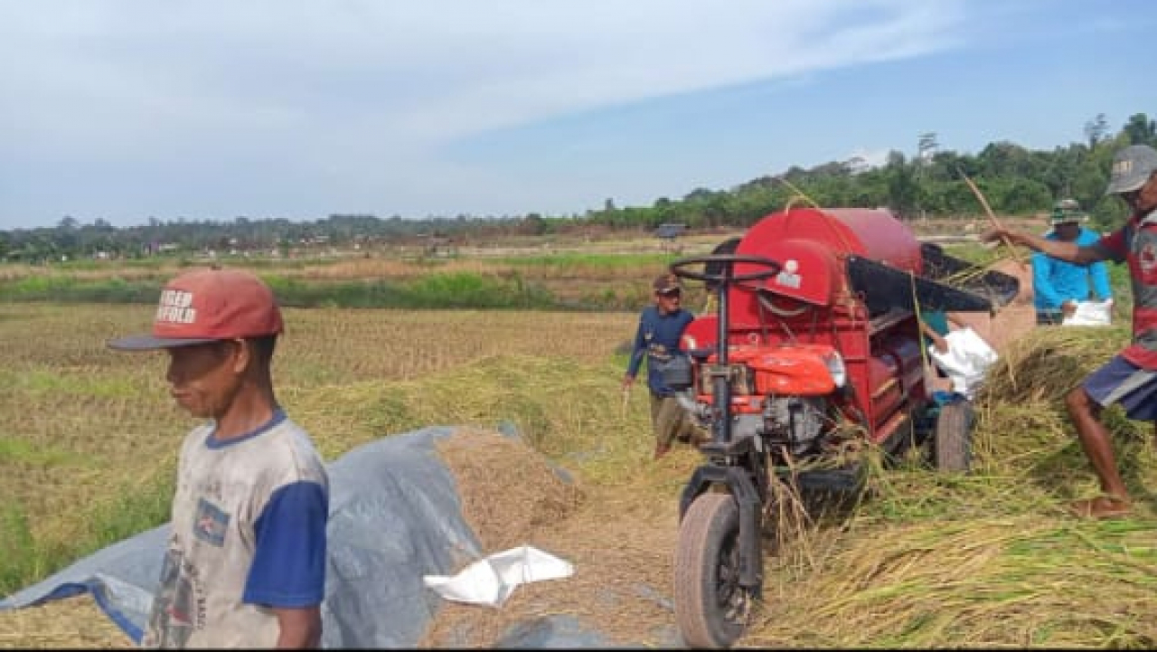 Semangat dan Komitmen Petani Desa Penutuk untuk Hasil yang baik