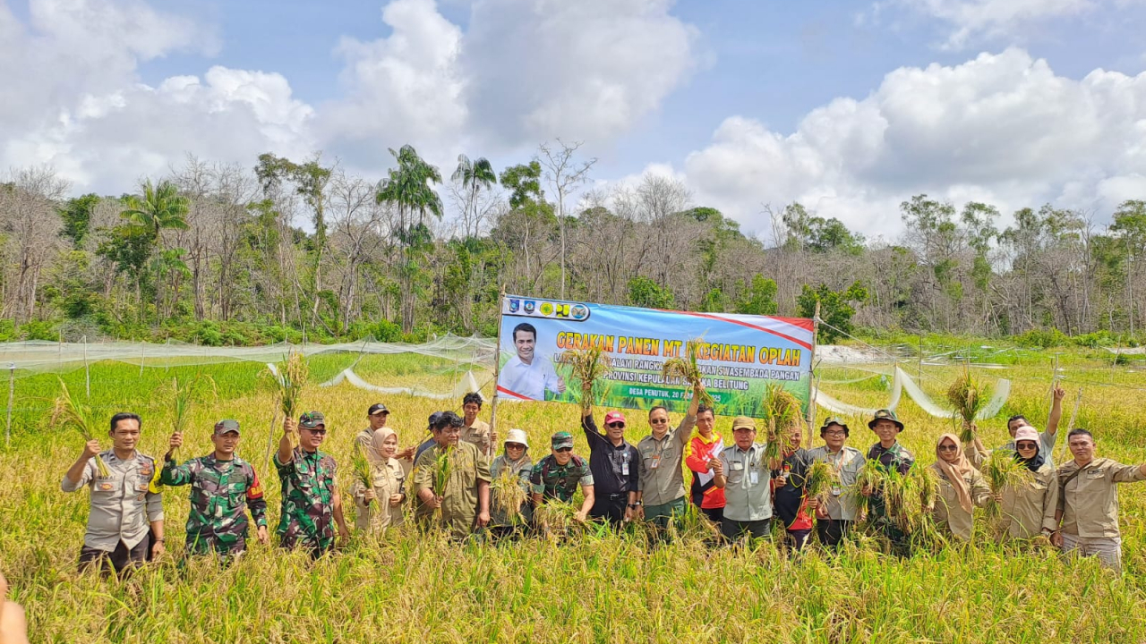 Panen Padi Sawah Desa Penutuk Dihadiri Kepala BSIP Provinsi Babel dan beberapa Pejabat Lainnya