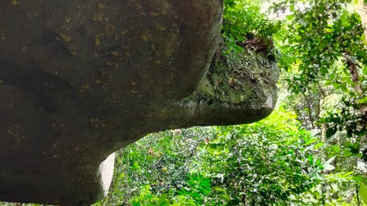 Wisata Desa Gudang: Alam Asri, Bikin Hati Kembali Bersemi!