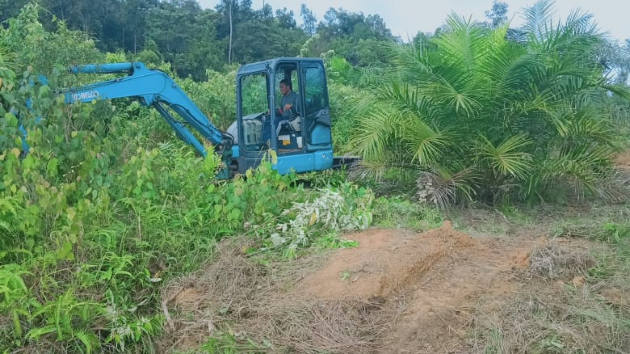 Pembersihan Kebun Sawit Desa Ranggung: Excavator Dikerahkan