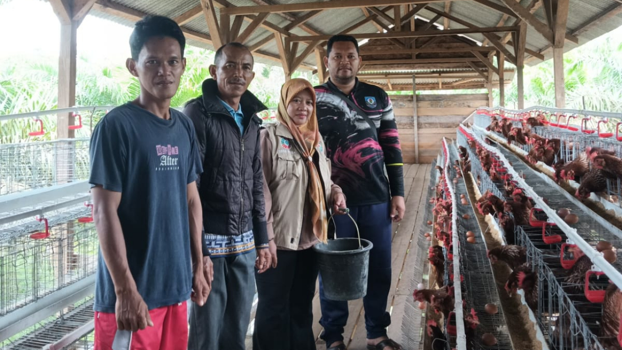 Panen Telur Ranggung: Sukses Program Ketahanan Pangan!