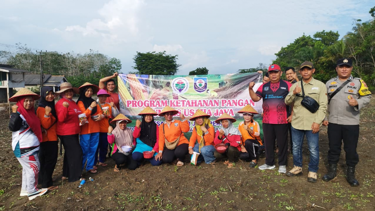 Penanaman Jagung Serentak, Ketahanan Pangan Sumber Jaya Permai