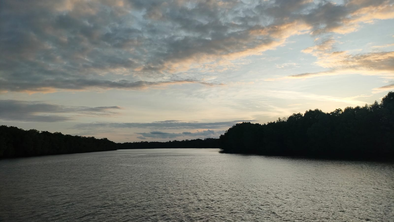 Jelajah Wisata Mangrove