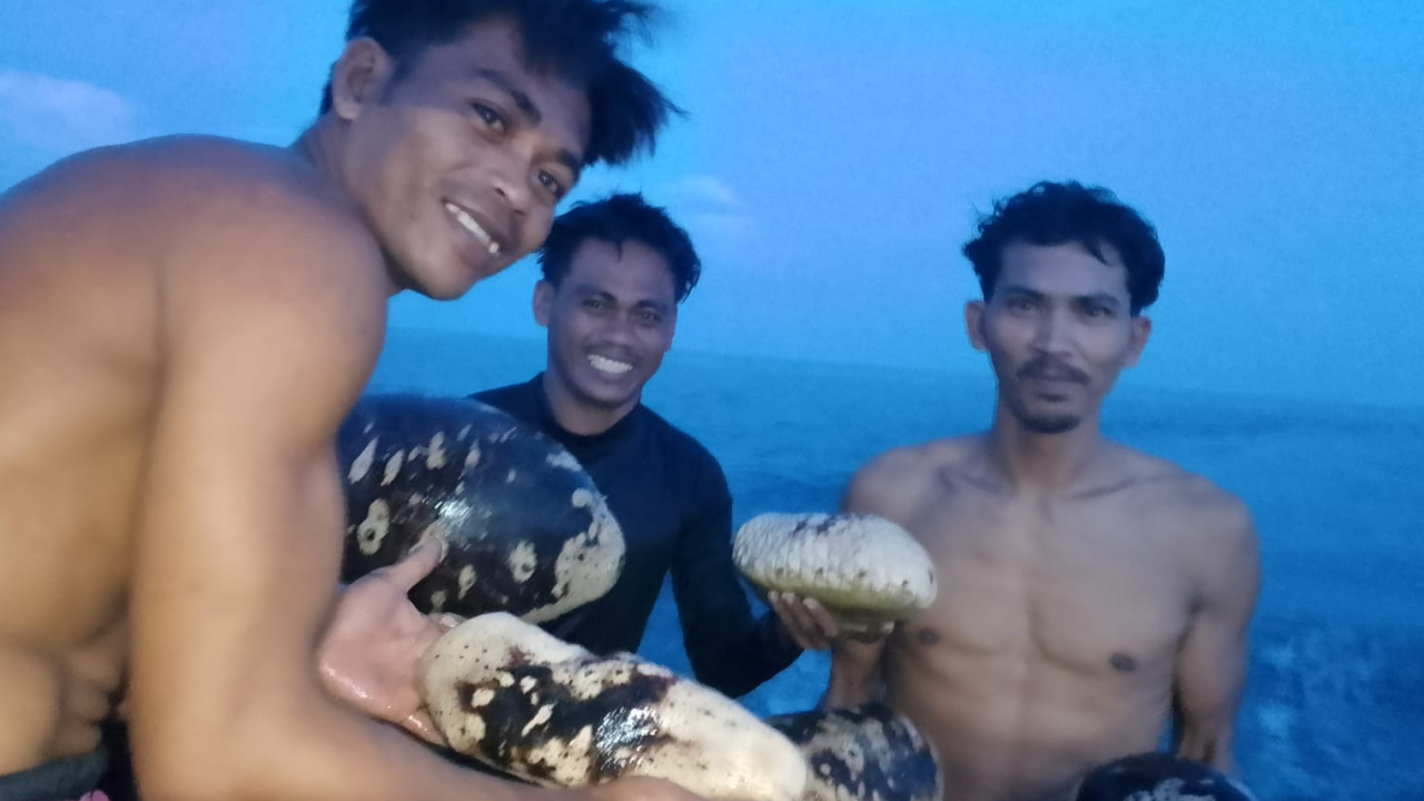 SENYUM MANIS NELAYAN TELUK BUTON! BERHASIL MENDAPATKAN TANGKAPAN GAMAT, KOMODITAS LAUT BERNILAI EKONOMI TINGGI