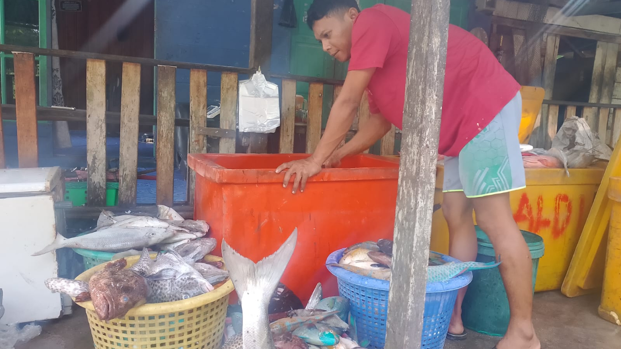 HASIL TANGKAPAN NELAYAN DESA TELUK BUTON MELIMPAH, MENJADI HARAPAN BAGI PENINGKATAN EKONOMI MASYARAKAT PESISIR