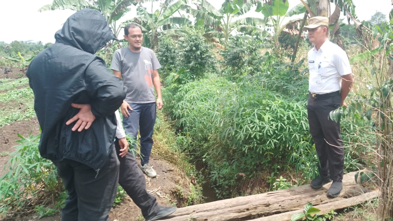 CAMAT MENINJAU LOKASI RENCANA NORMALISASI SUNGAI