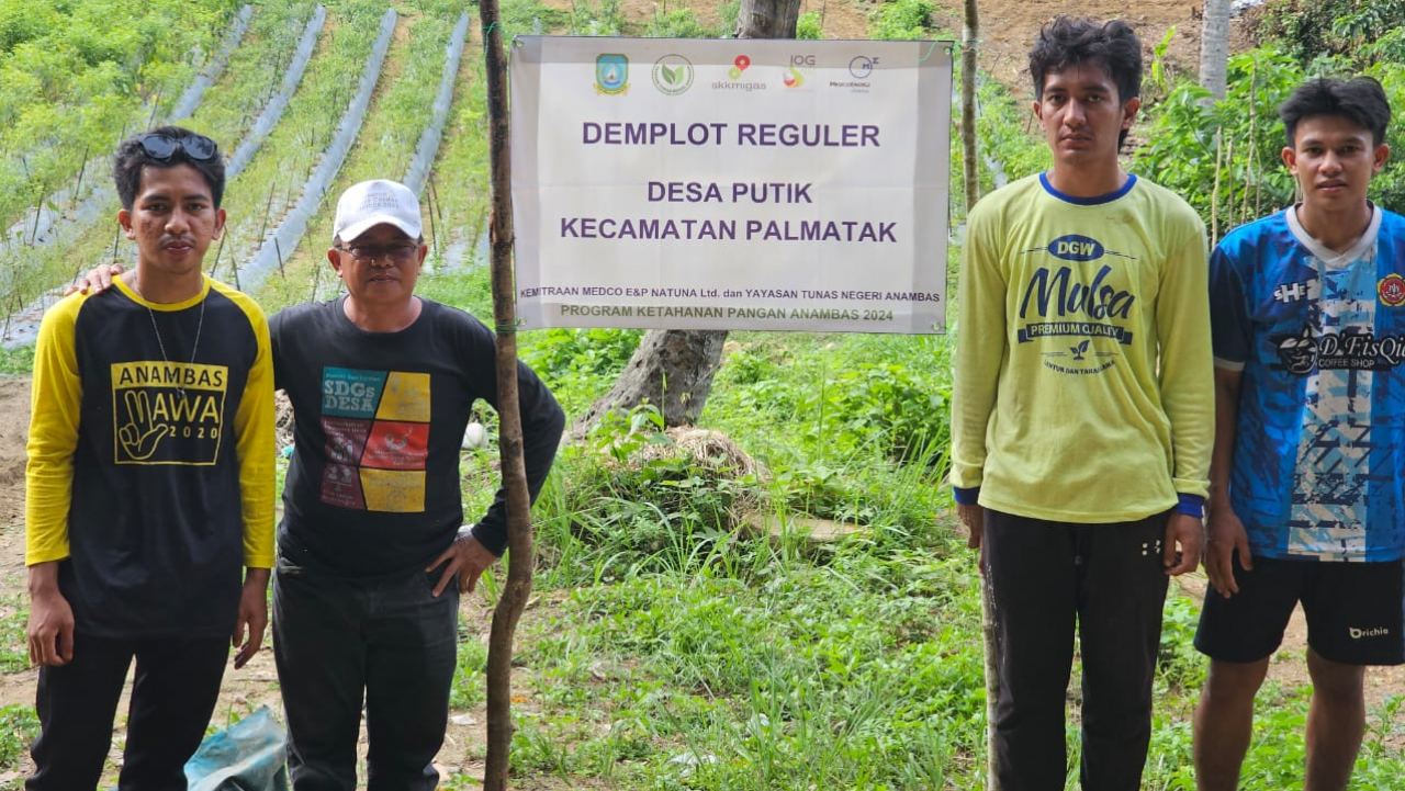 BERKUNJUNG KE LOKASI PERKEBUNAN KELOMPOK TANI CERDAS, KEPALA DESA SIAP ATASI KELUHAN KELOMPOK PERTANIAN