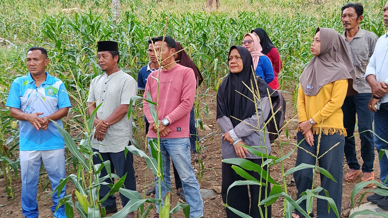 Kepala Desa Batu Berapit Hadiri Panen Raya Jagung BUMDes TRB