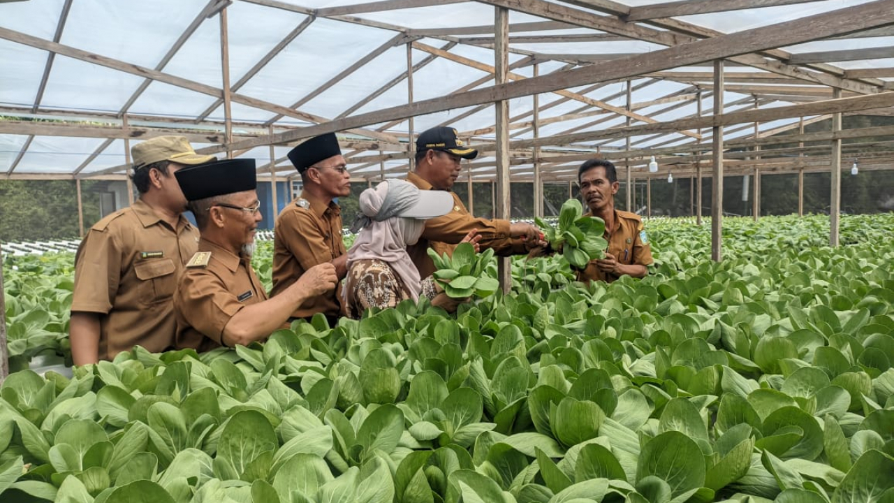 PERKEBUNAN HIDROPONIK