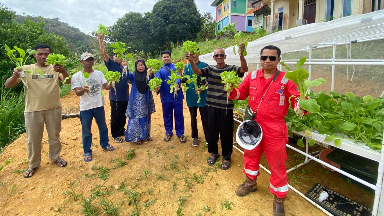 Panen Perdana Ketapang BUMDes Kute Bertuah Desa Payalaman