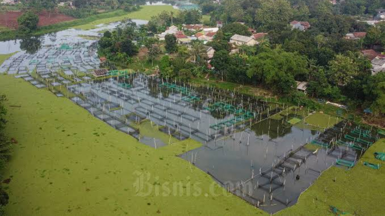 Danau Cilala
