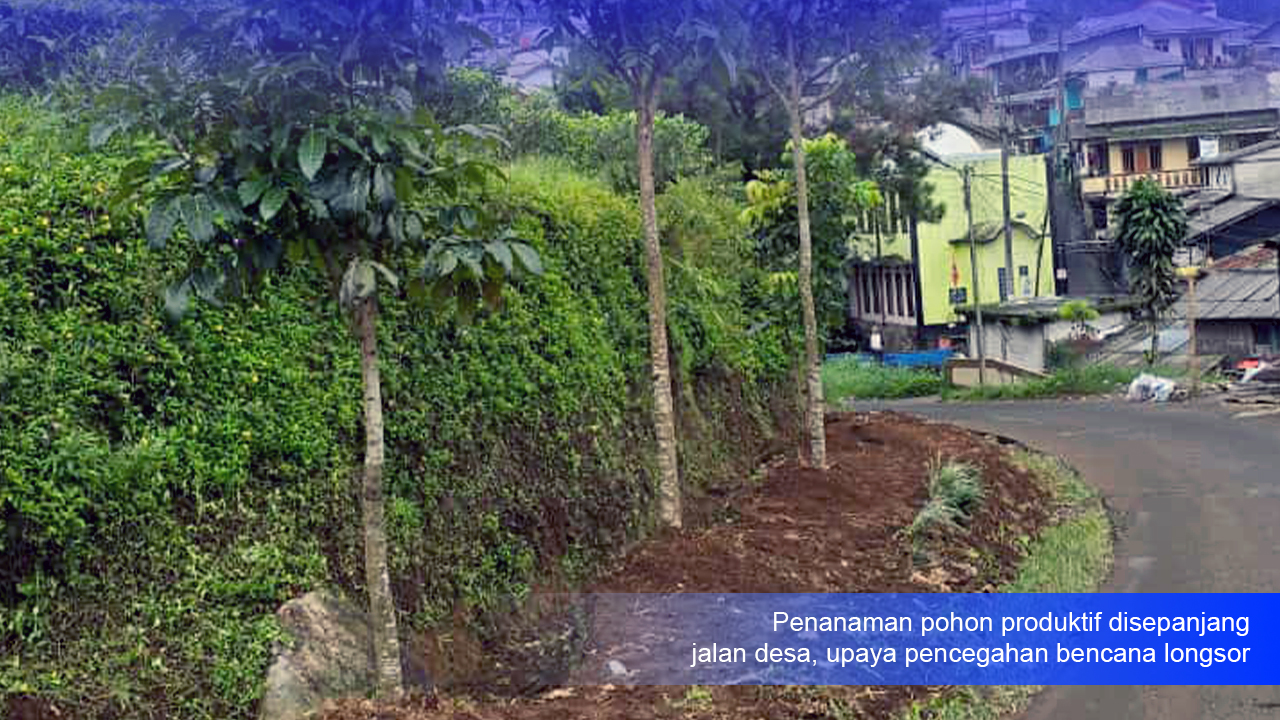 Penanaman Pohon Produktif, Upaya Pemerintah Desa Mencegah Bencana Tanah Longsor