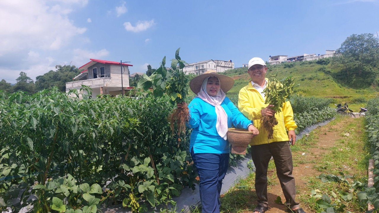 Produksi Kacang E-Damame Berkelanjutan