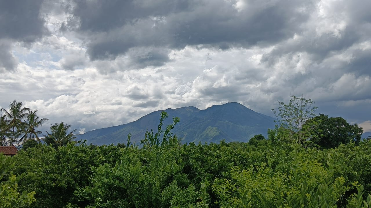 WISATA JERUK GARUT DESA SITUSARI KARANGPAWITAN