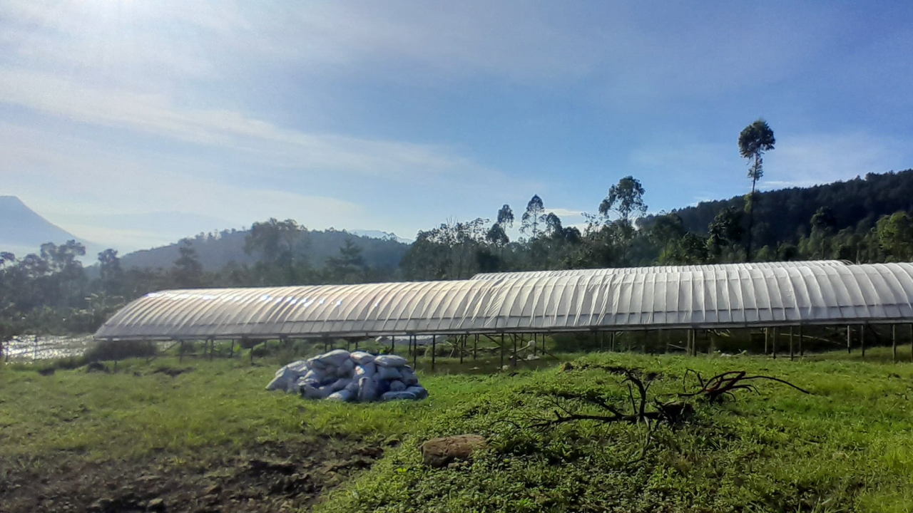 POTENSI ALAM CARIK DESA