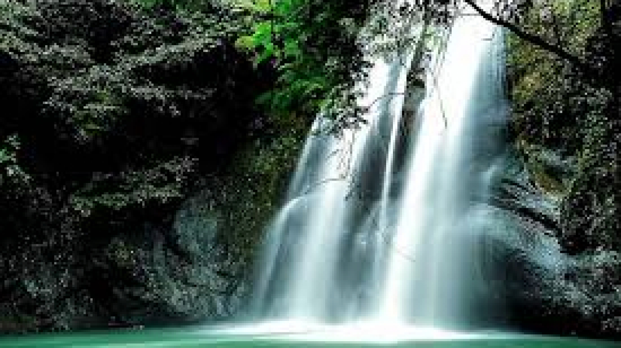 Wisata Alam Curug Payung