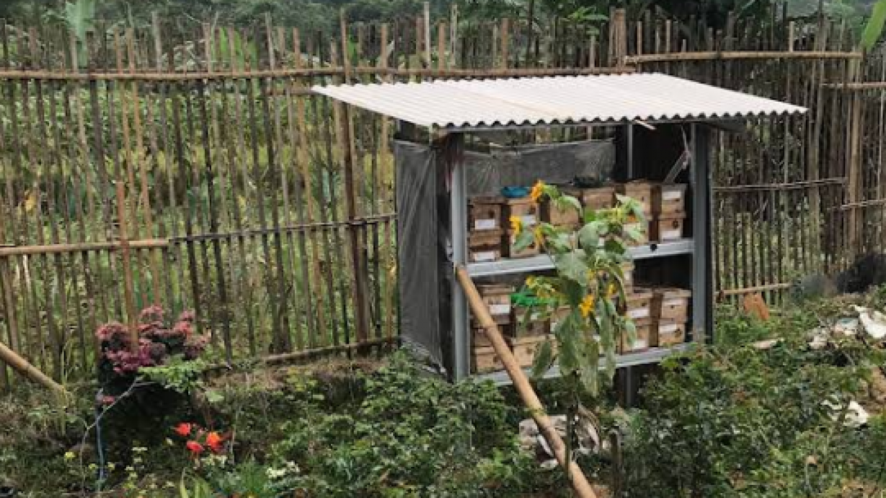 Rumah Teuweul
