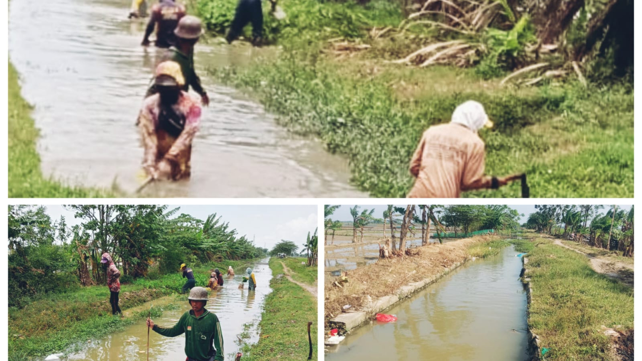 Normalisasi Saluran Sekunder LBY 3 Menuju LBY 2