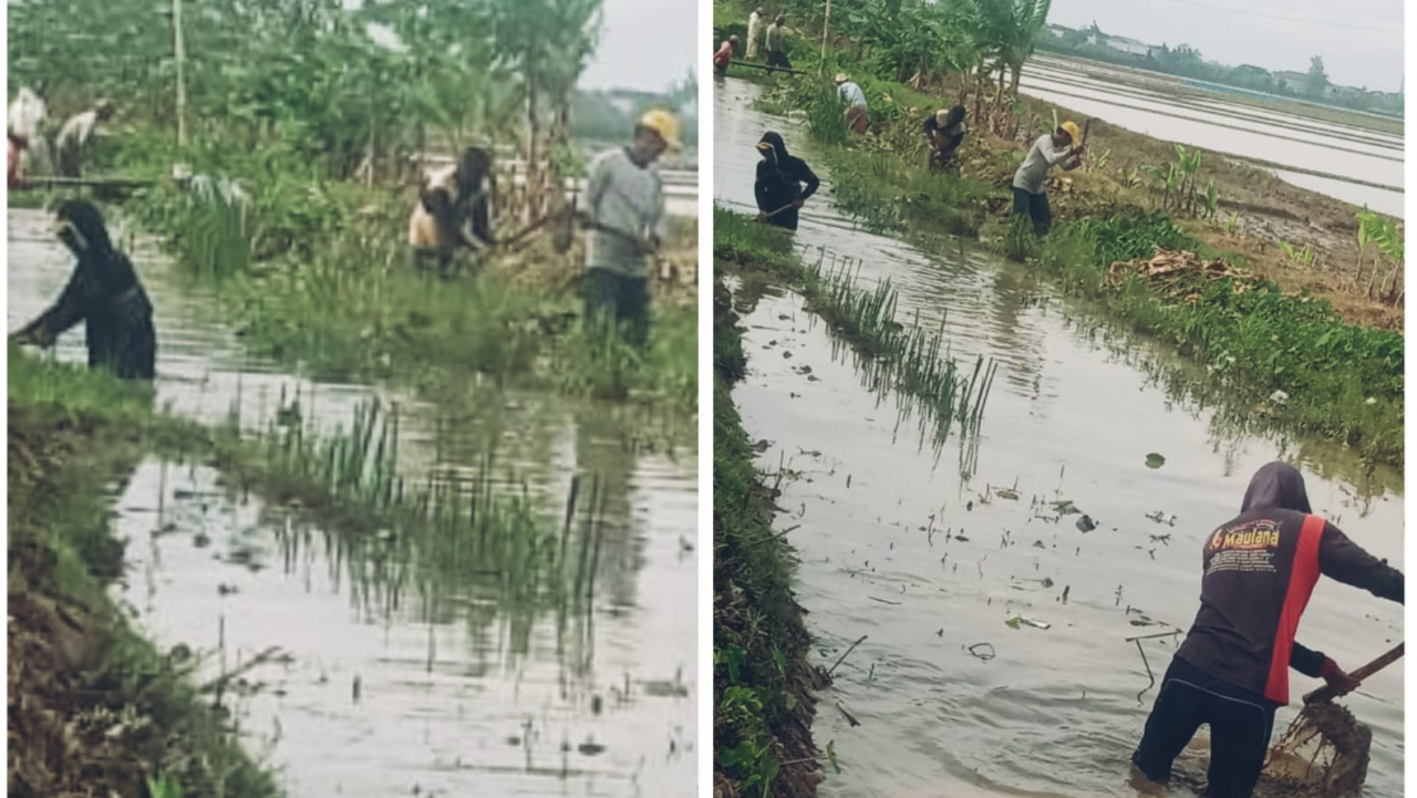 Normalisasi lanjutan Irigasi LBY 3 - Dusun Cilengkreng
