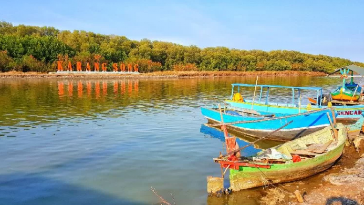 Hutan Mangrove Karangsong