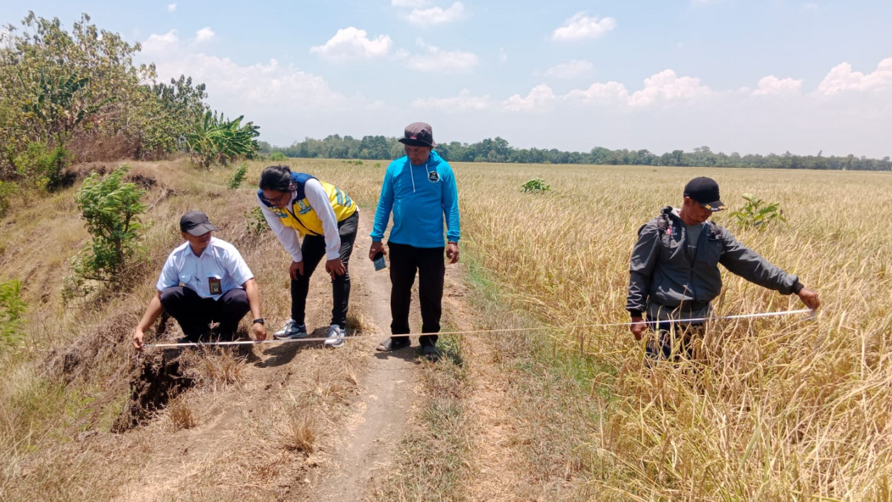 Penanggulangan Tanggul Sungai Cimanuk di Blok Pesawahan Jagabaya Segera Dilaksanakan