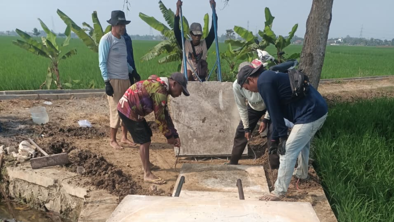 Pemasangan Prikes di sawah Blok Cibuntu