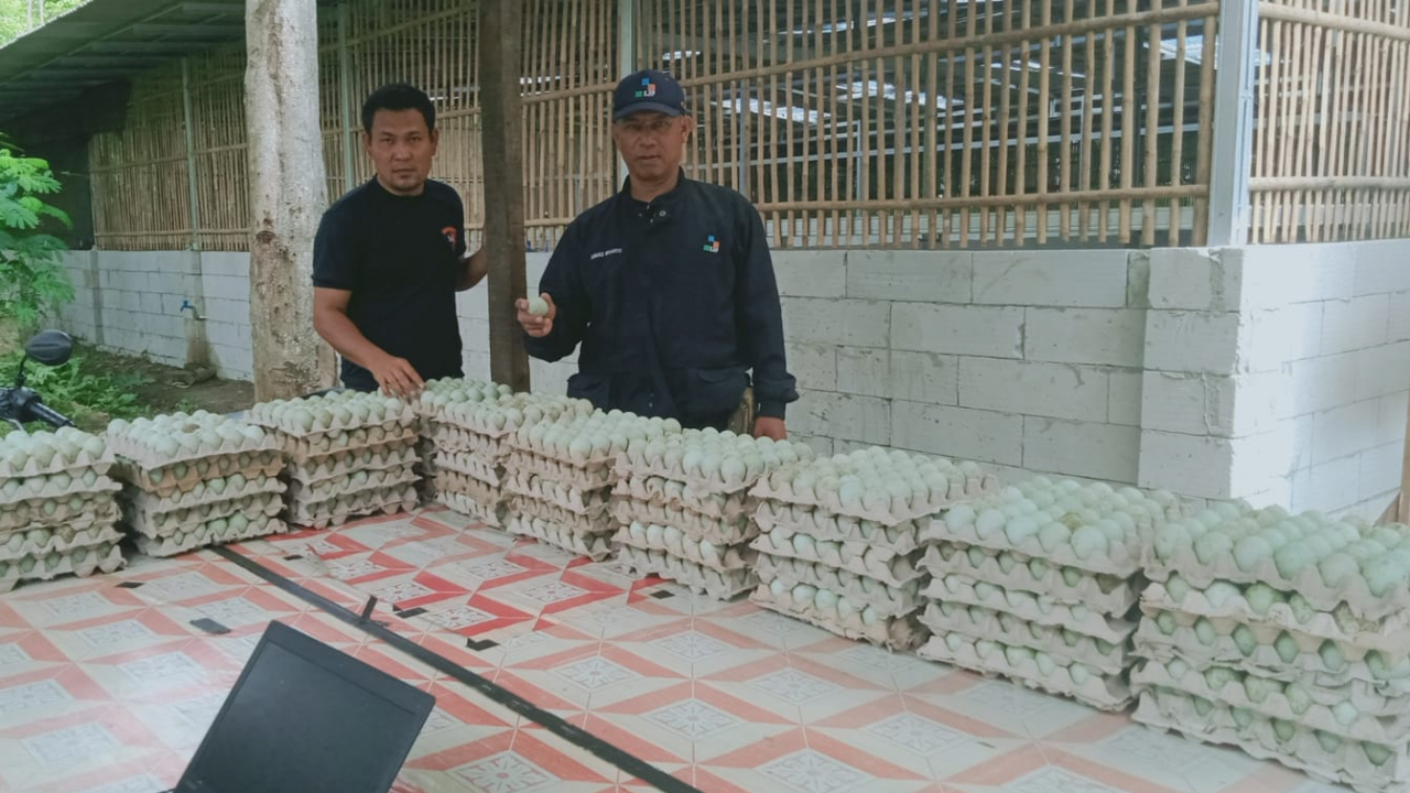 TELUR BEBEK OMEGA 3 – PILIHAN SEHAT DARI DESA UNTUK KELUARGA INDONESIA