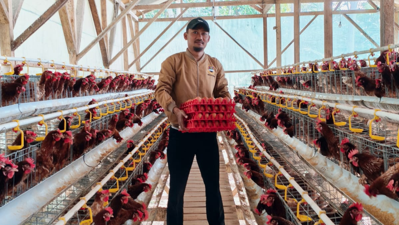 BUMDes Desa Bojong Kembangkan Usaha Ayam Petelur, Perkuat Ketahanan Pangan