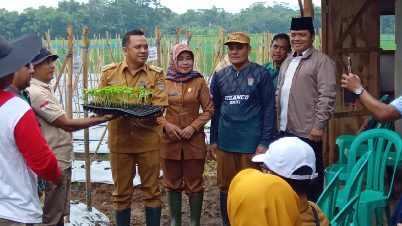 Pengembangan Ekonomi Desa Sikanco Melalui Program Ketahanan Pangan Berbasis Perkebunan Melon