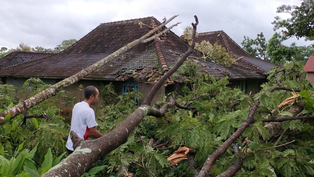 Angin Puting Beliung Terjang Desa Sedayu, Tercatat 27 Titik Terdampak