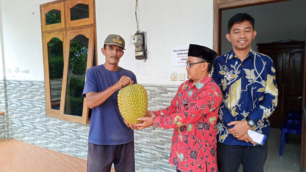 Panen Durian Raksasa 7 Kg di Desa Sedayu, Slogohimo