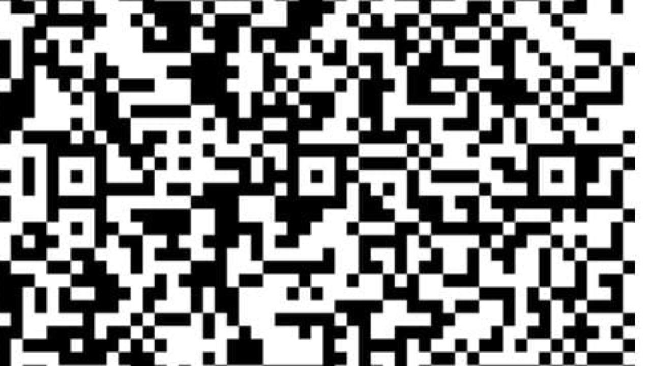 Cara Pembatalan Pinjaman Easycash Melalui WhatsApp resmi
