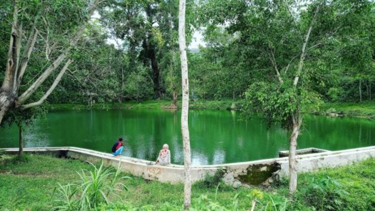 Telaga Jendul Belik Bodas