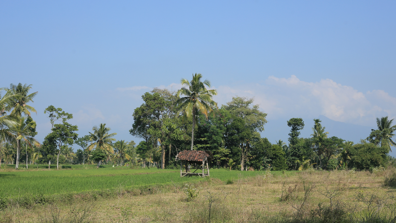 Agricultural Village ( Desa Agraris)