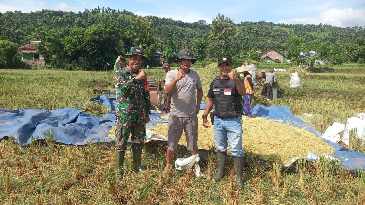 PPL, BABINSA, PEMDES TURUN LAPANGAN MENDAMPINGI PROGRAM SERGAB MENDUKUNG SWASEMBADA PANGAN