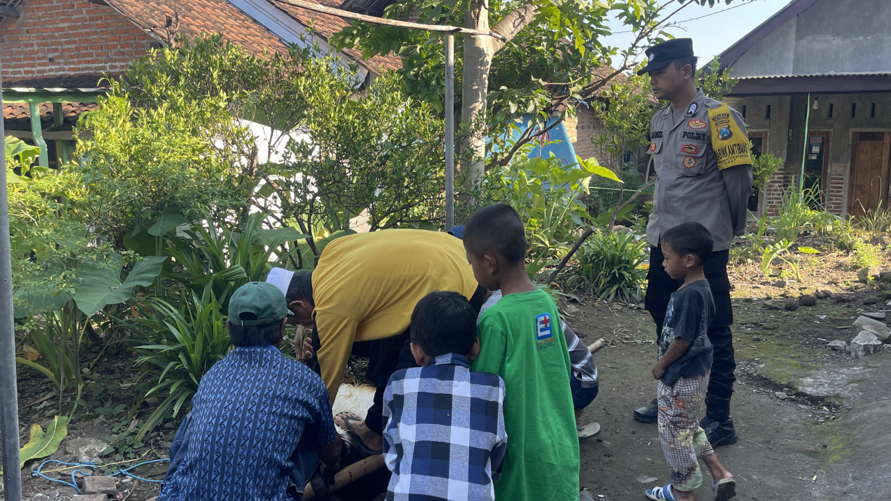 Antusias Warga Kesimantengah Semanga Berqurban