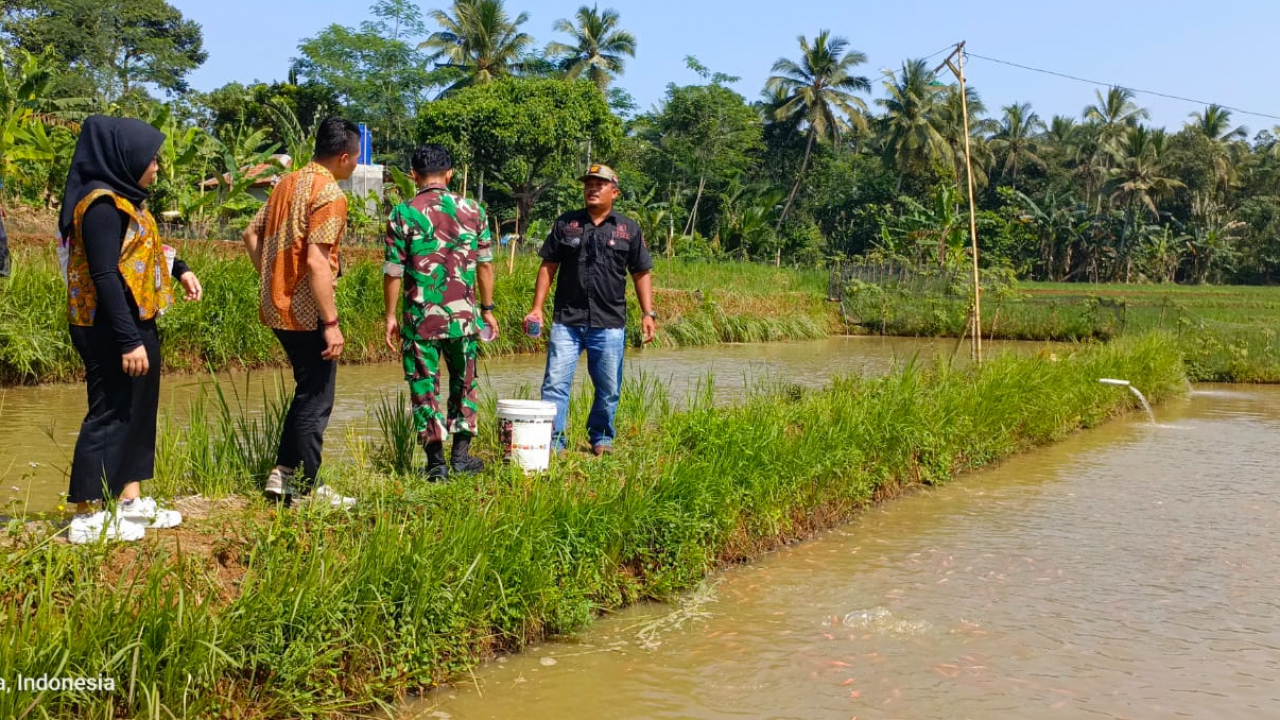 Wisata Ikan Air Tawar (Rancatutut)