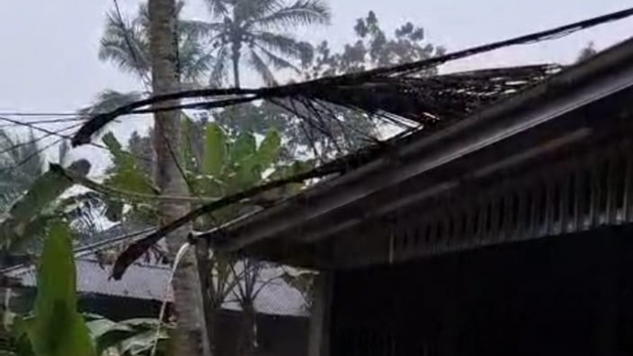 Rumah Warga Cipeundeuy Lebak Ringsek Tertimpa Pohon Kelapa.
