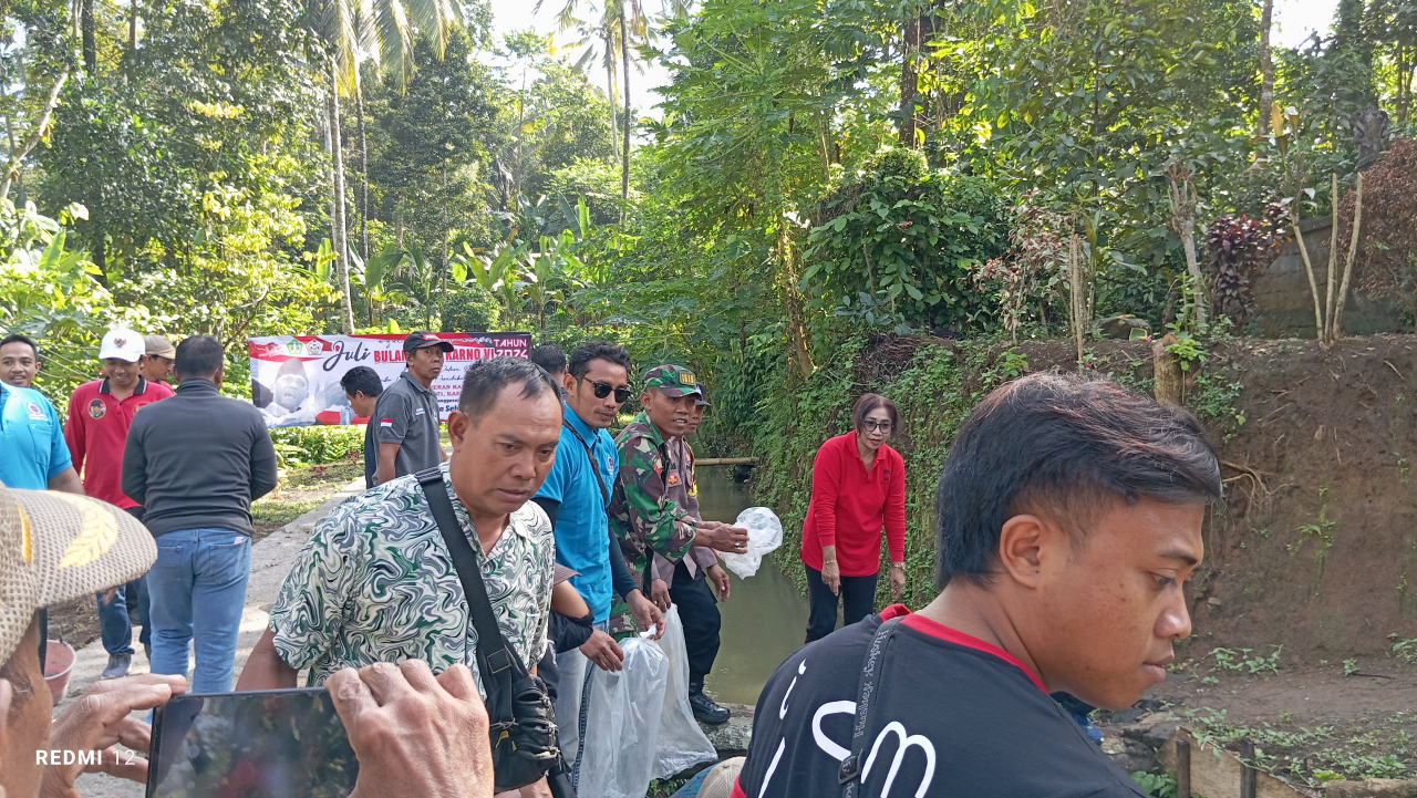 Penebaran Bibit Ikan Nila Dalam Rangka Bulan Bung Karno