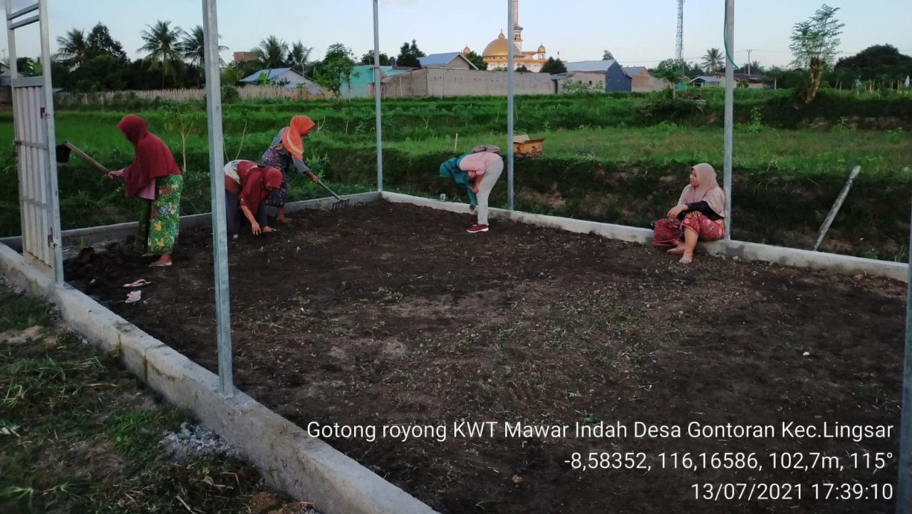 KWT "Mawar Indah" Desa Gontoran Gelar Kegiatan Penyemaian Bibit