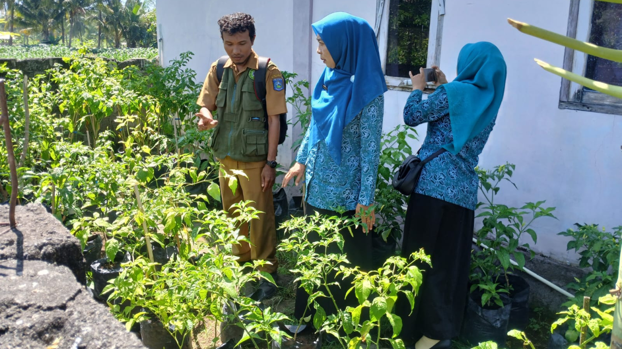 Monitoring Gertam Cabai Pokja III PKK Kabupaten di Desa Kertasari